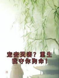 宠妾灭妻？她改嫁皇帝生皇子